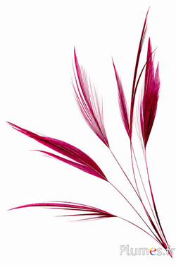 Kranich - 16-20 cm - bordeaux